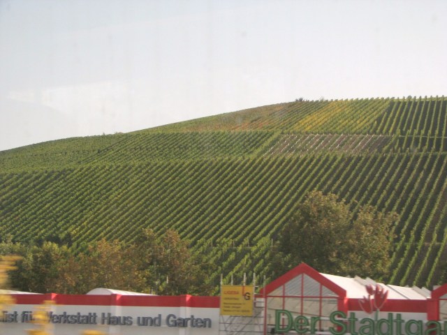 The German Countryside