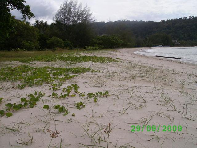 SANYO DIGITAL CAMERA