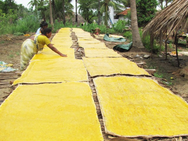 006 Mango Delight (East Godavari, Andhra Pradesh, India)
