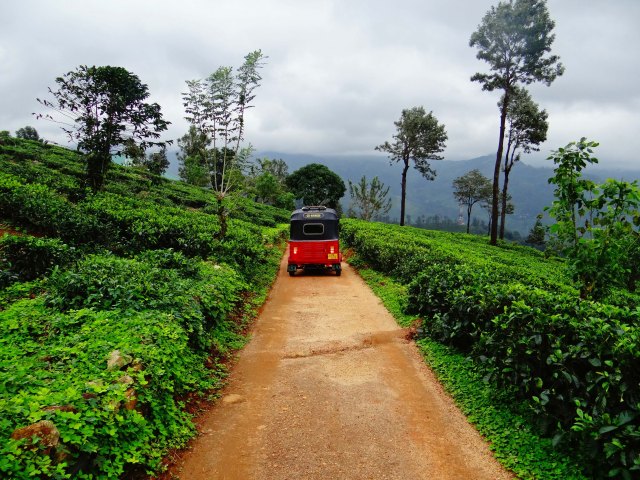 2013-08-07 Madulkelle-047